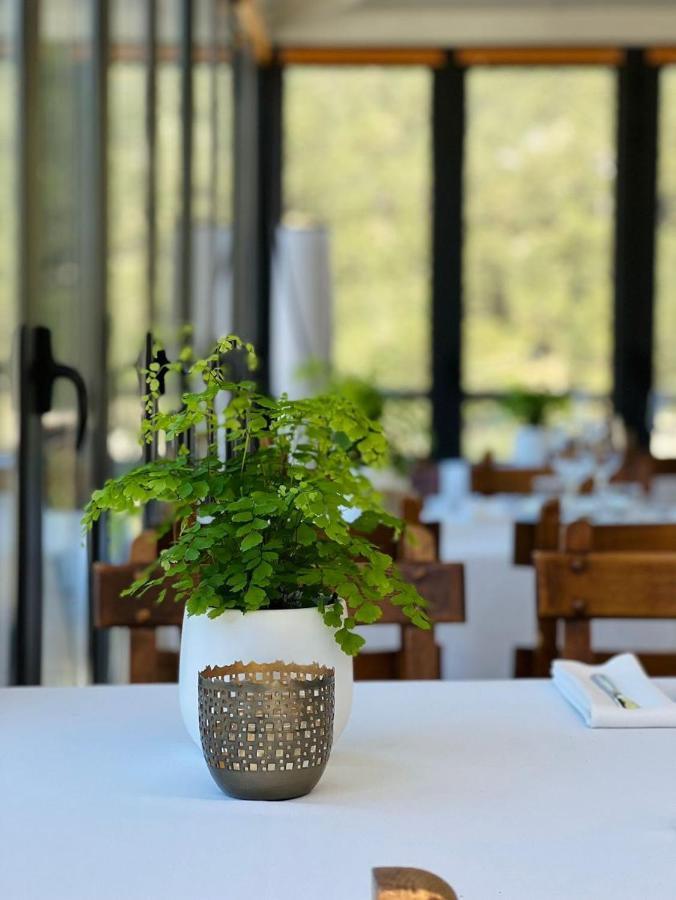Corzo Hotel Серседилья Экстерьер фото